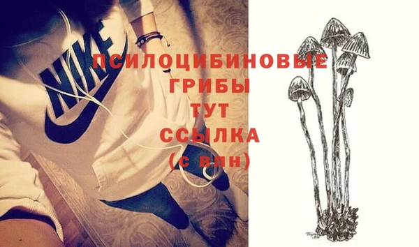 эйфоретик Куйбышев