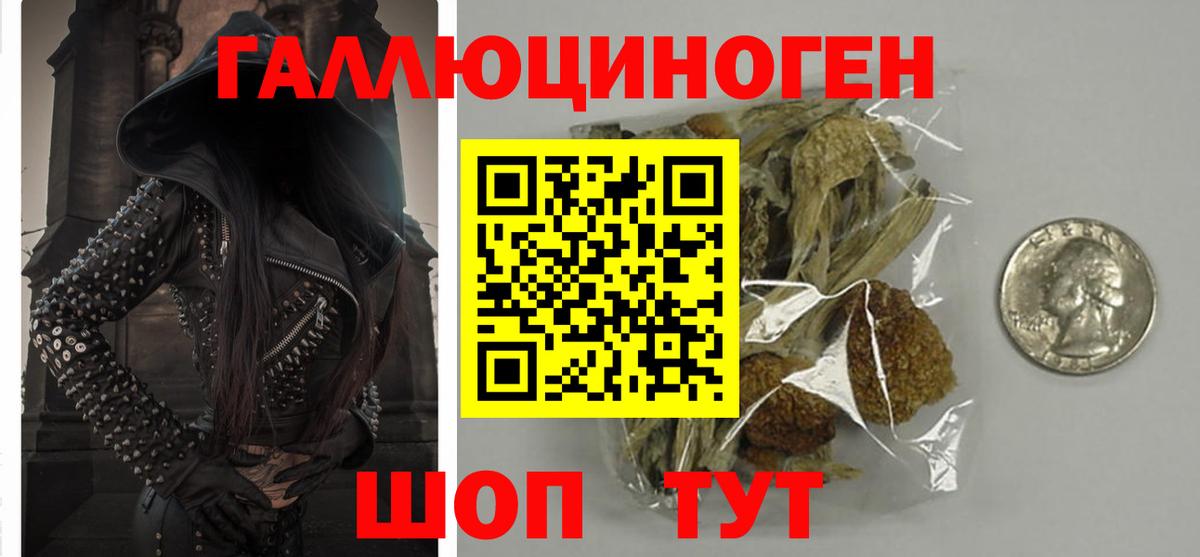 Галлюциногенные грибы Psilocybine cubensis Евпатория