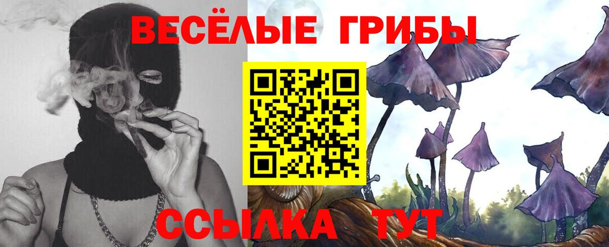 Псилоцибиновые грибы Magic Shrooms  Псилоцибиновые грибы MAGIC MUSHROOMS  Евпатория  Вход с VPN 